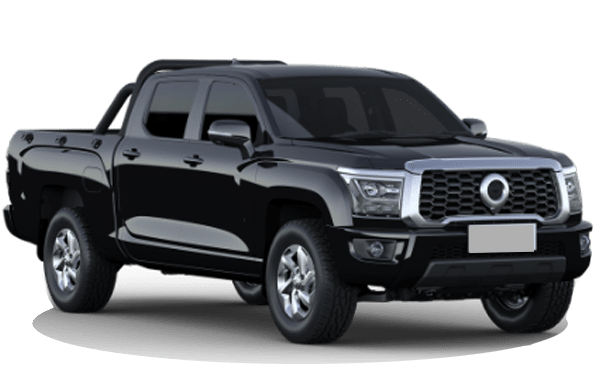 Great Wall Poer KingKong